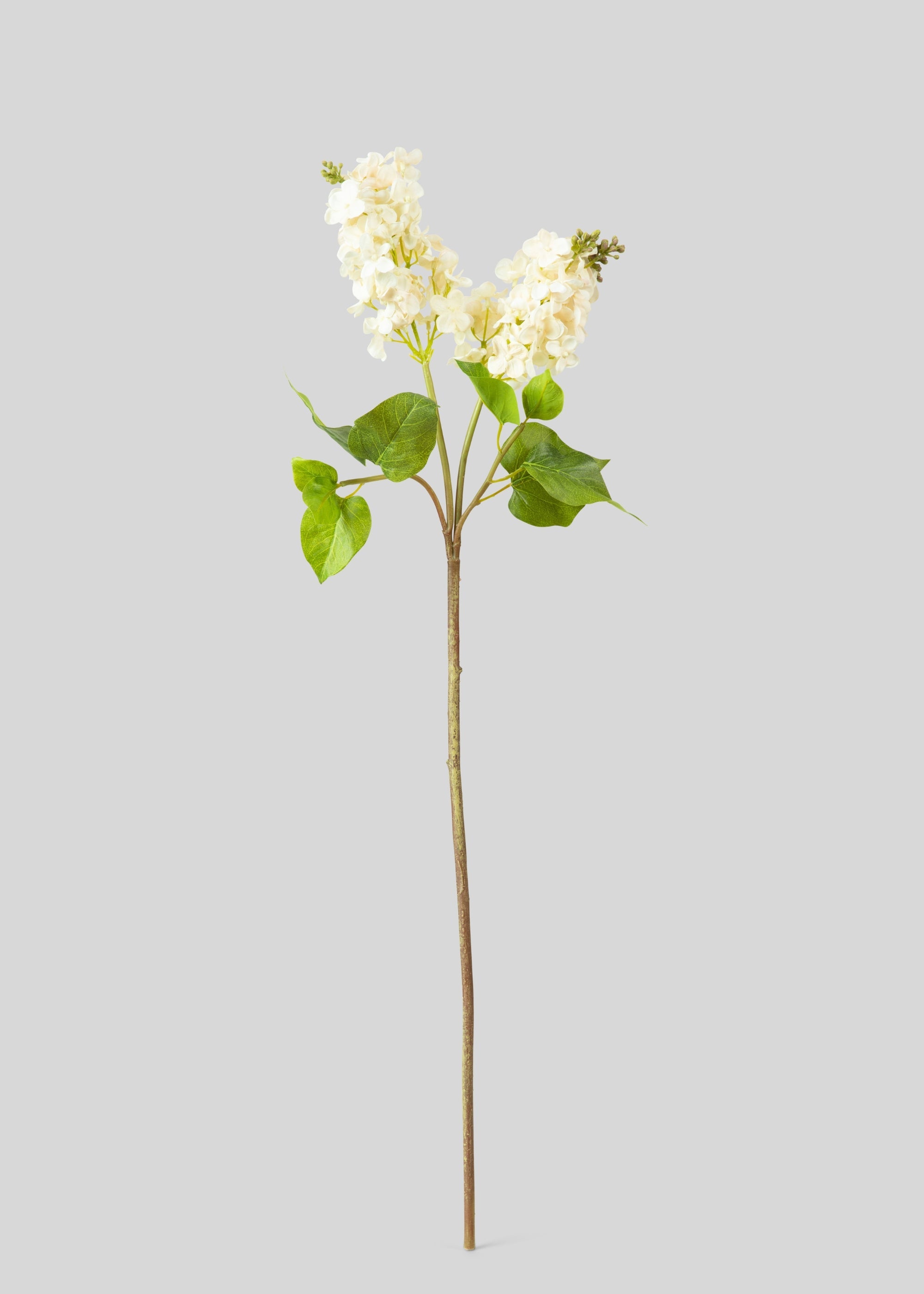 クリーム色のフェイクリアルタッチライラックの開花枝 - 27.5インチ