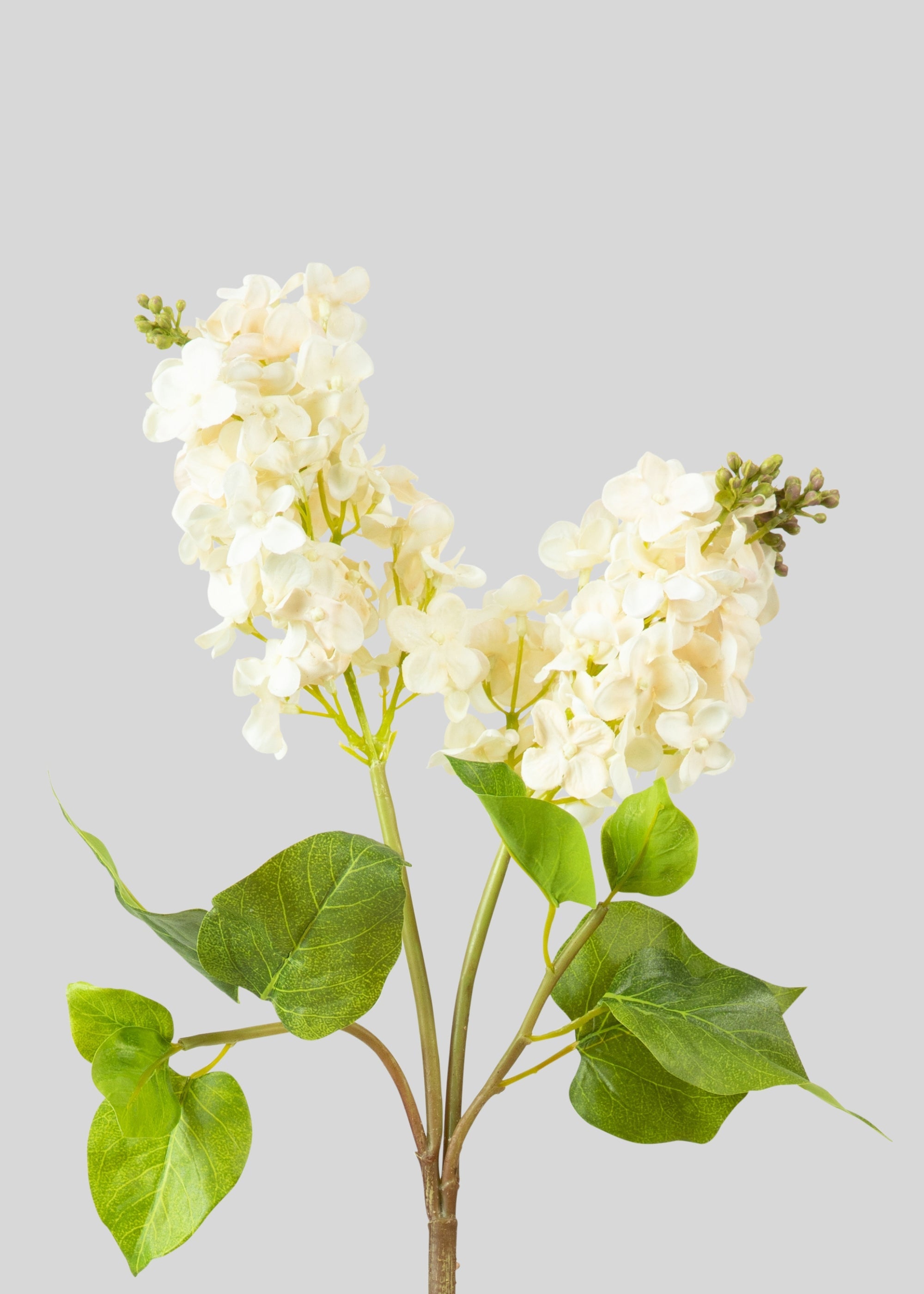 クリーム色のフェイクリアルタッチライラックの開花枝 - 27.5インチ
