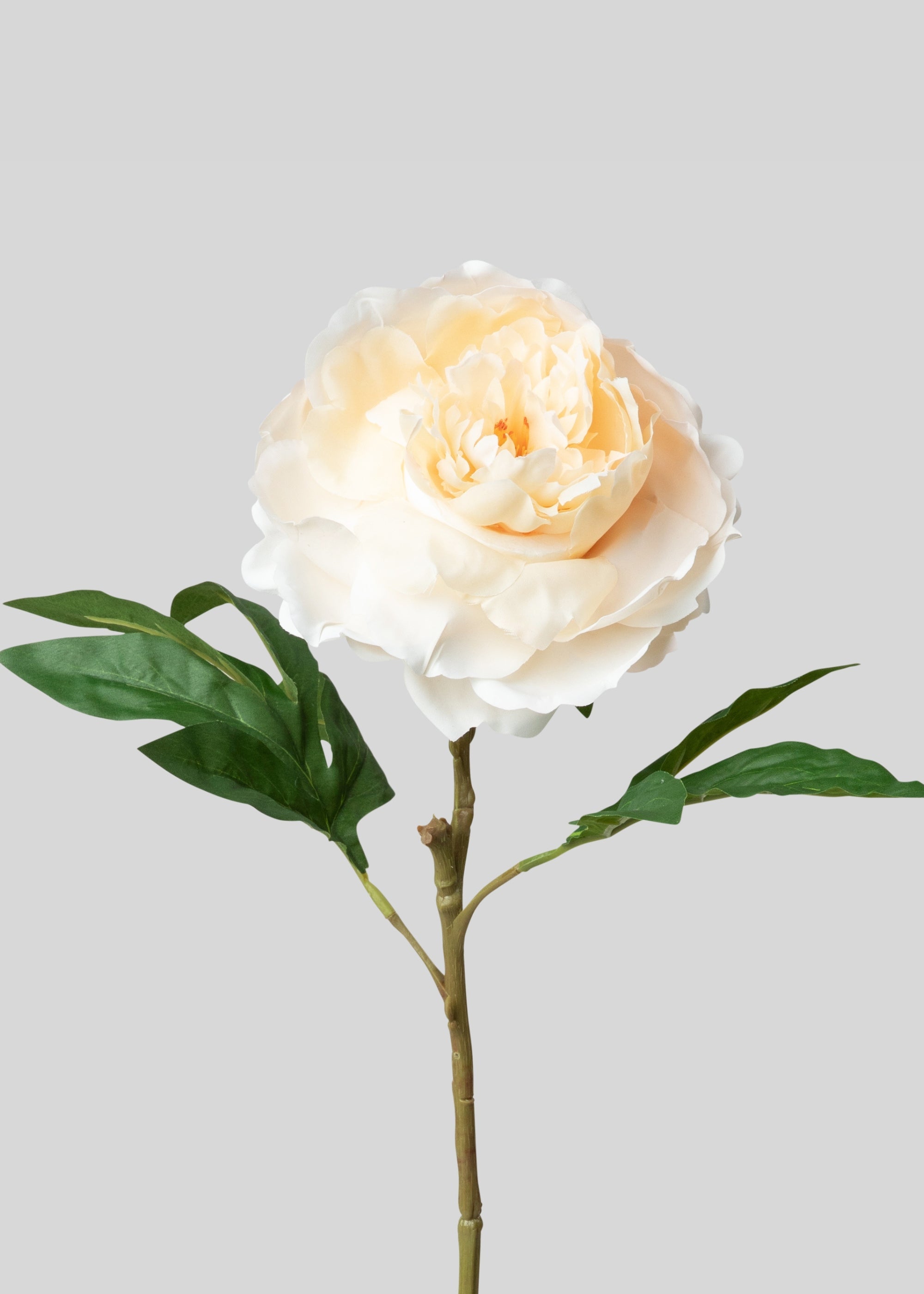 ピーチ色の造花牡丹 - 23インチ