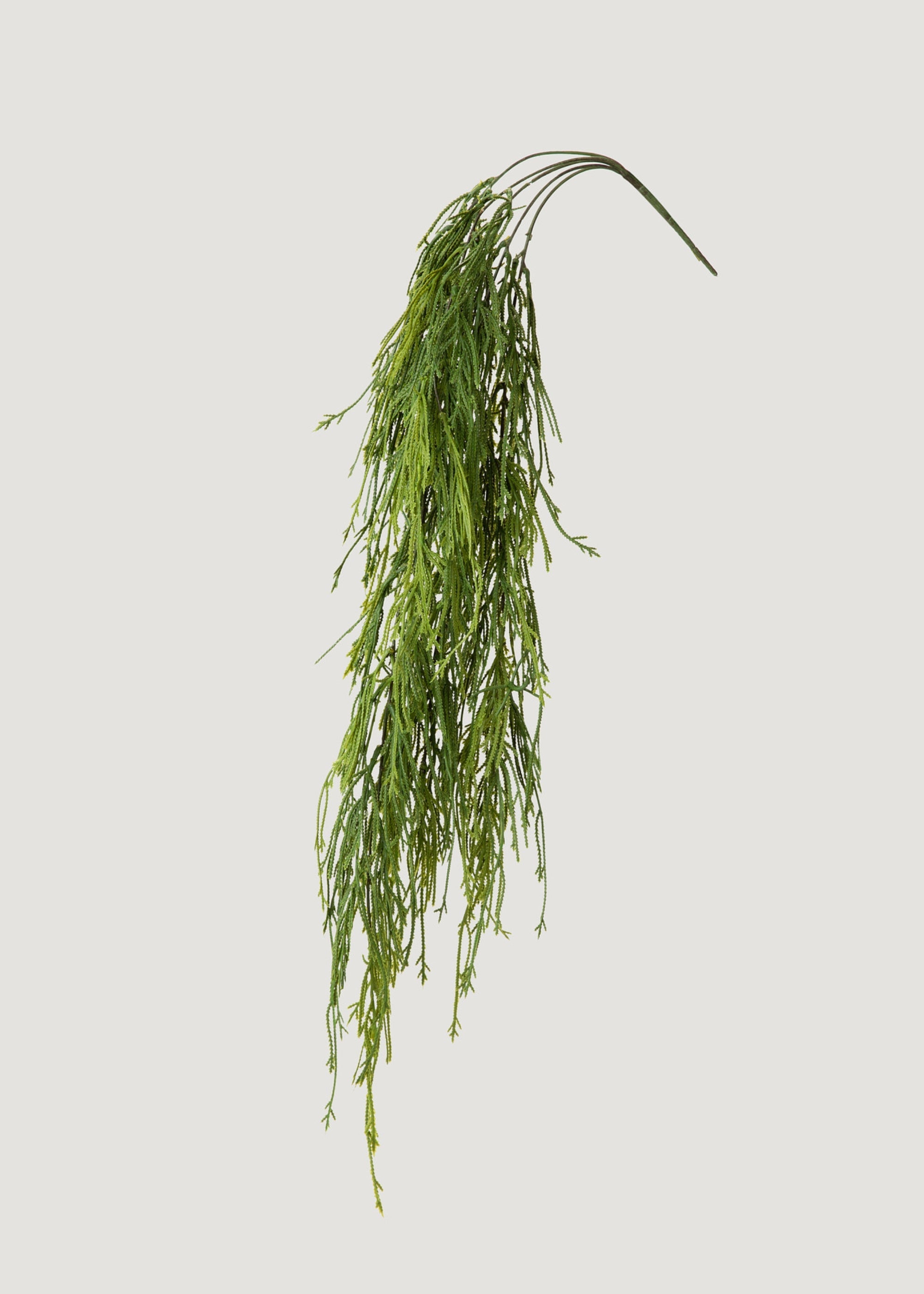 UV加工済み 屋内/屋外用 フェイクハンギングモスシダ植物 - 38.5インチ