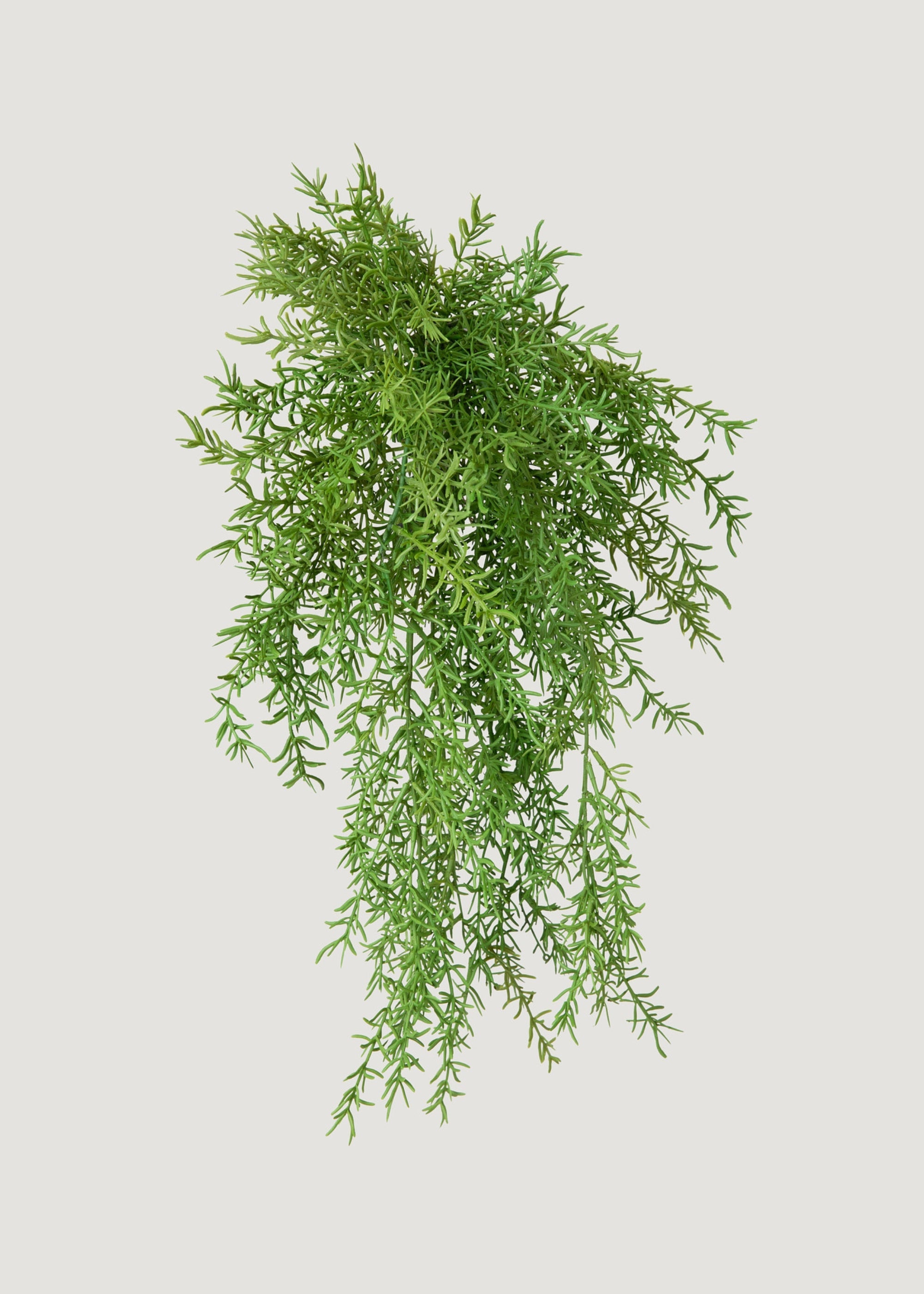 人工吊り下げアスパラガスシダ植物 - 22インチ