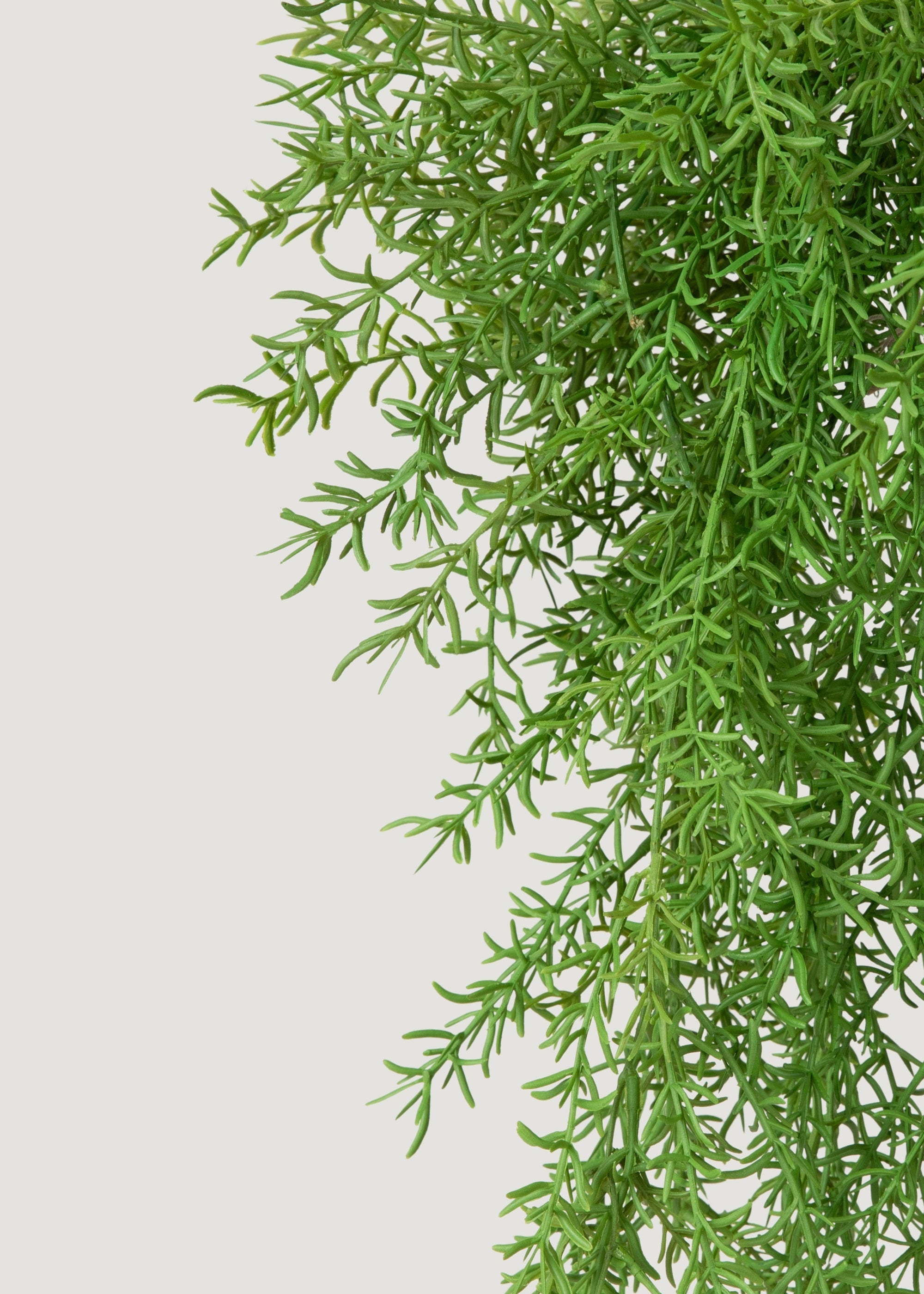 人工吊り下げアスパラガスシダ植物 - 22インチ