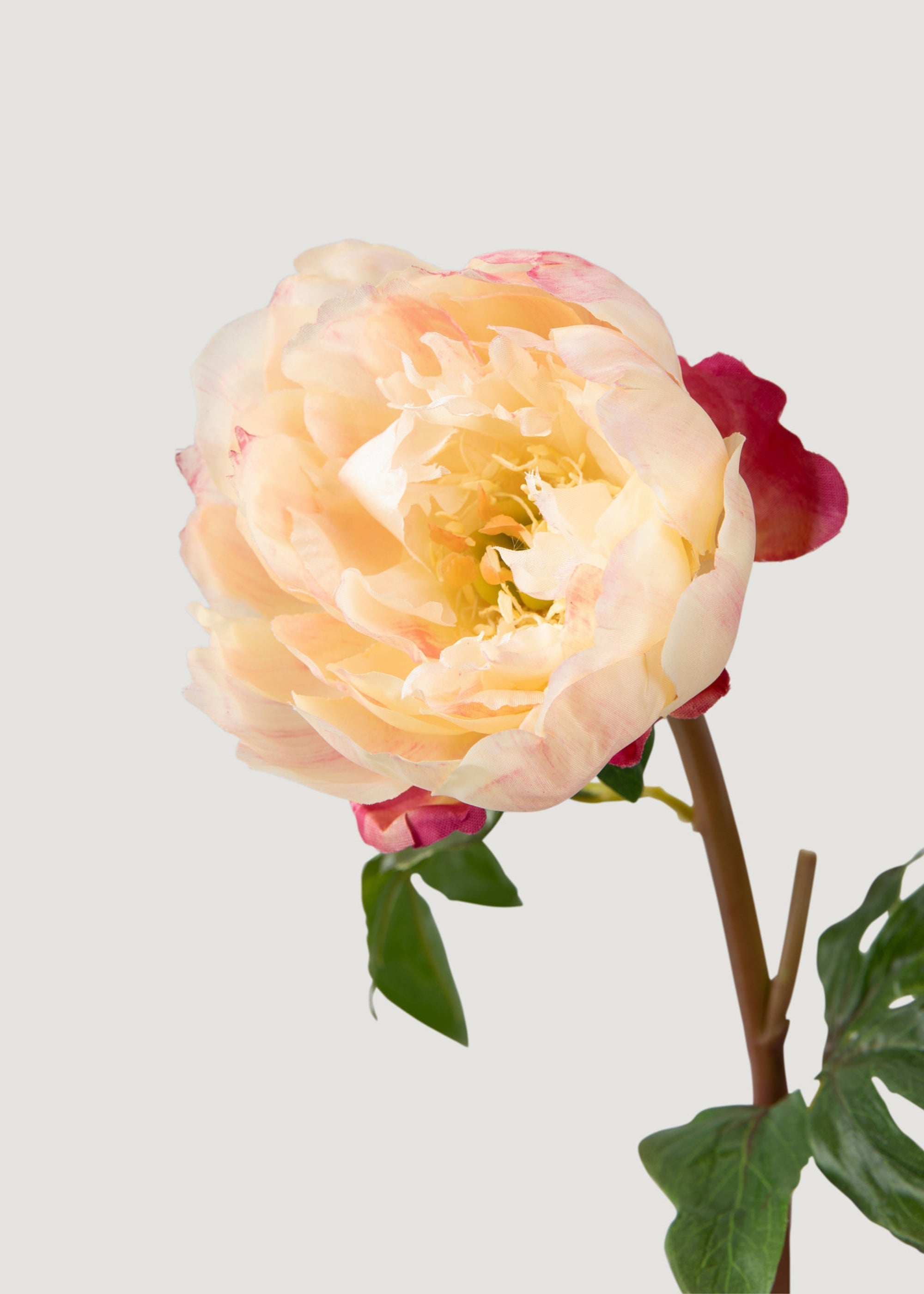 ピーチピンクの造花牡丹 - 20インチ