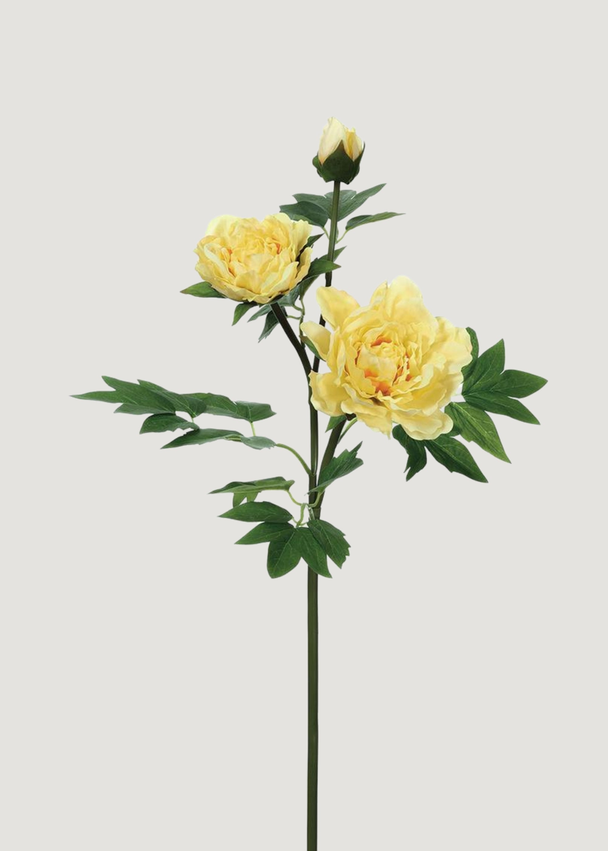 黄色のフェイクリアルタッチ牡丹の花 - 26.75インチ