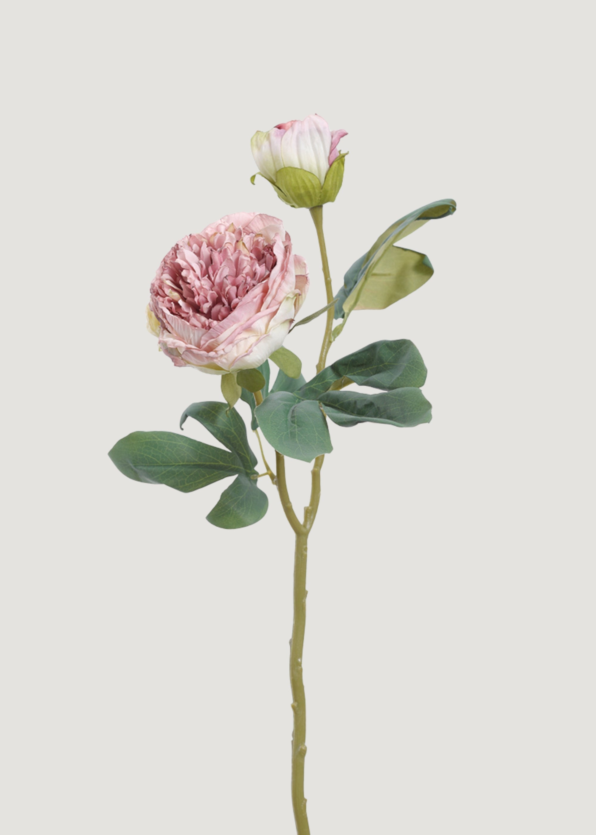 ラベンダーの造花牡丹ドライフラワー - 19インチ