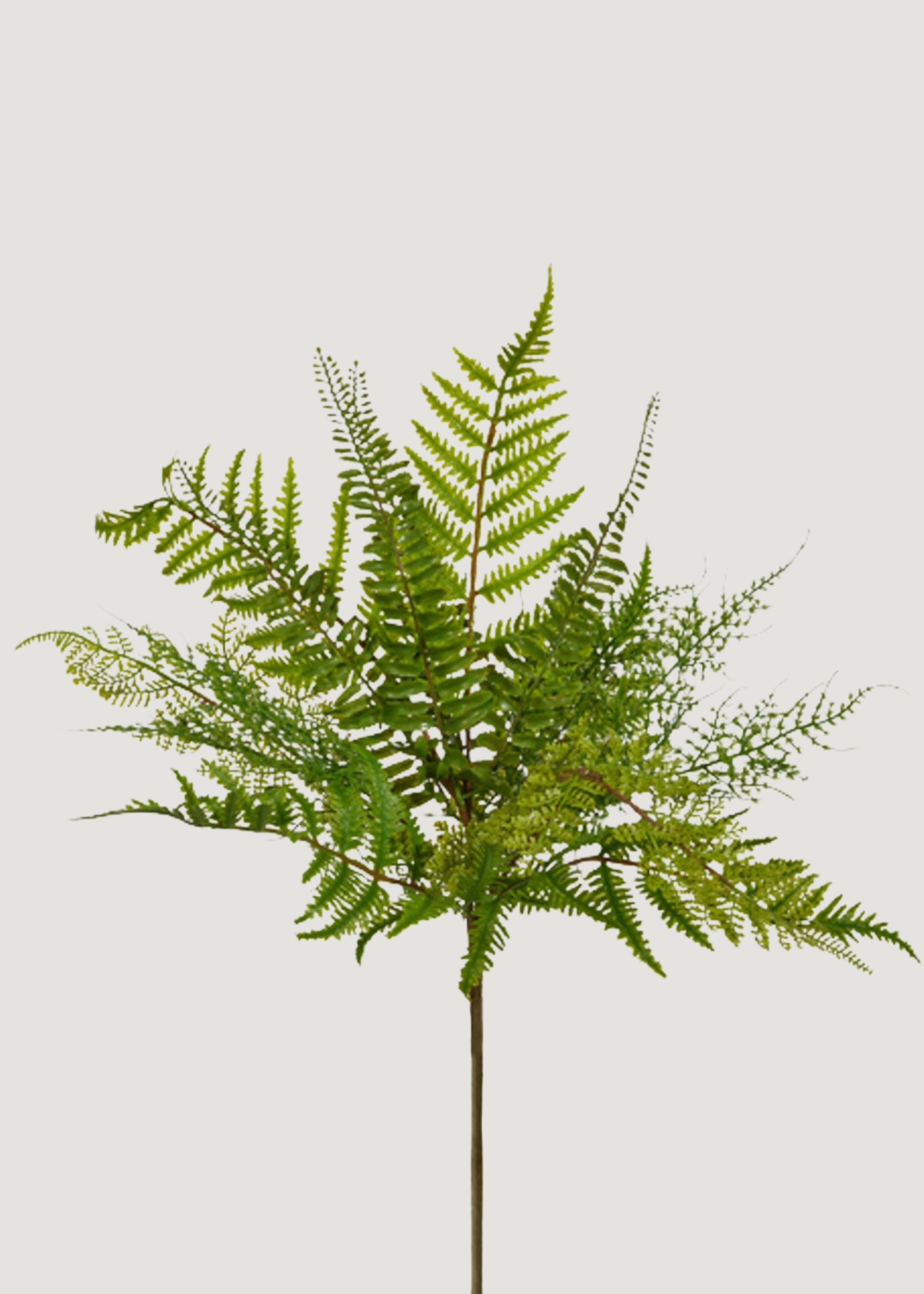 フェイクシダの葉の植物 - 18.5インチ